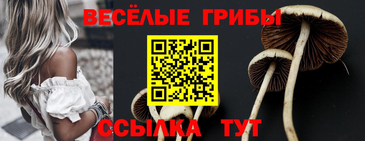 Псилоцибиновые грибы ЛСД  Вход с VPN  Галлюциногенные грибы GOLDEN TEACHER  наркошоп  Чапаевск 